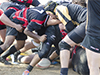 thumb_DSC_6281.jpg